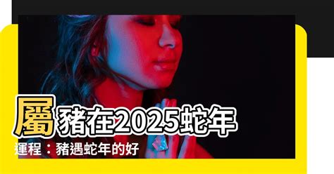 2025蛇年運程|2025蛇年運勢指南！開運、財運、事業創造新機遇 